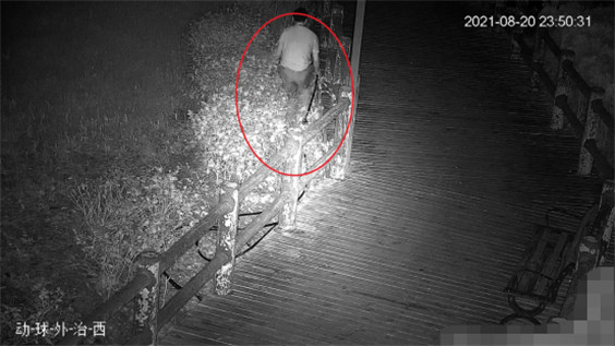 簡報（2021第28期）護公共財產安全 守一方道路平安--天網監(jiān)控主動發(fā)現偷盜電纜嫌疑人560.jpg