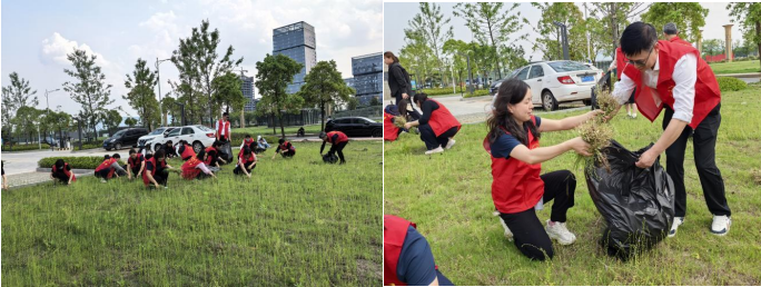 1747123490542536.png image.png